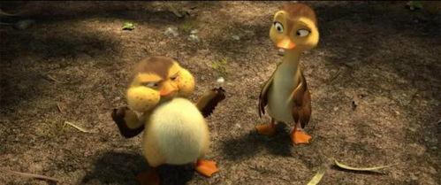 鸭子国产视频,鸭子的趣味生活大揭秘
